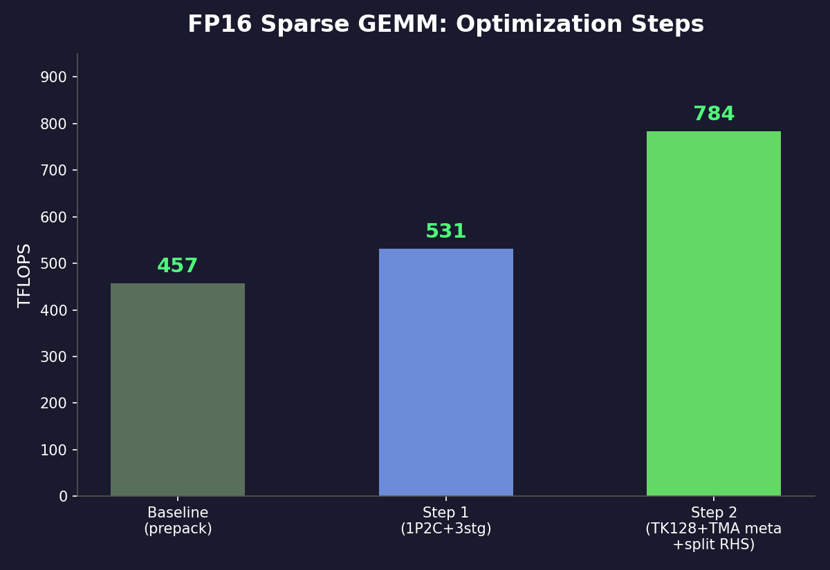 FP16 optimization steps